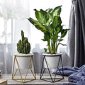 Blenda - Nordic Geometric Rack